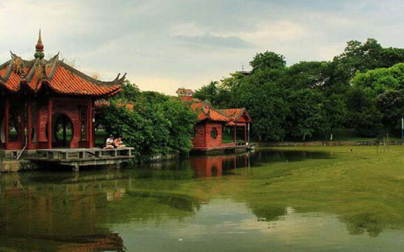 深圳白鸽湖公园