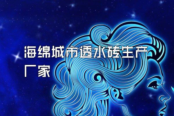 海绵城市透水砖生产厂家