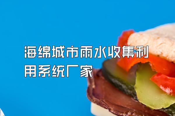 海绵城市雨水收集利用系统厂家