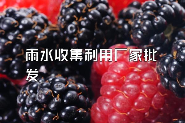 雨水收集利用厂家批发