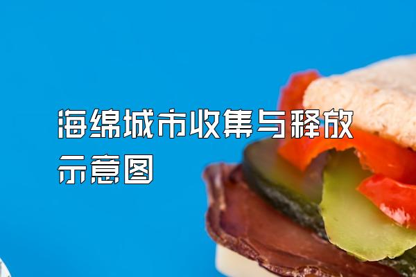 海绵城市收集与释放示意图