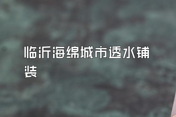 临沂海绵城市透水铺装