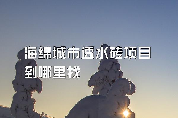 海绵城市透水砖项目到哪里找