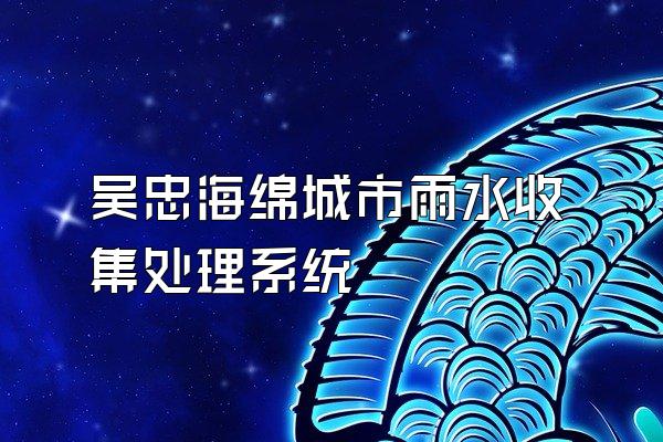 吴忠海绵城市雨水收集处理系统