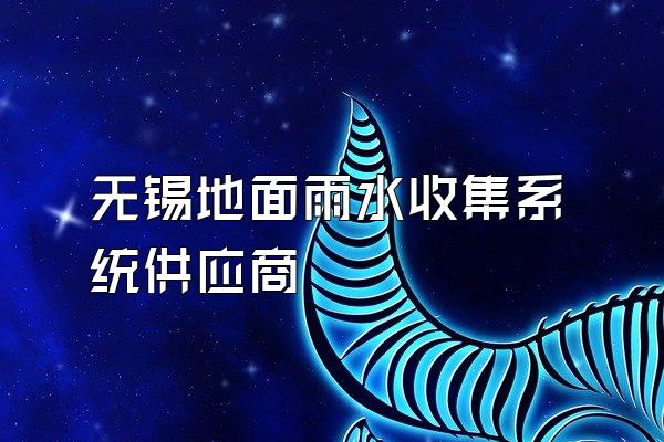 无锡地面雨水收集系统供应商