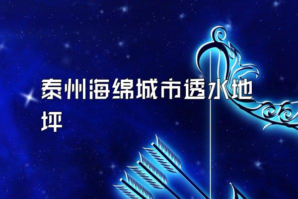 泰州海绵城市透水地坪