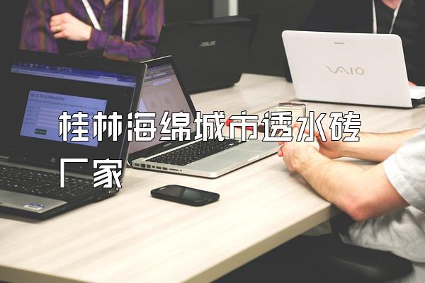 桂林海绵城市透水砖厂家