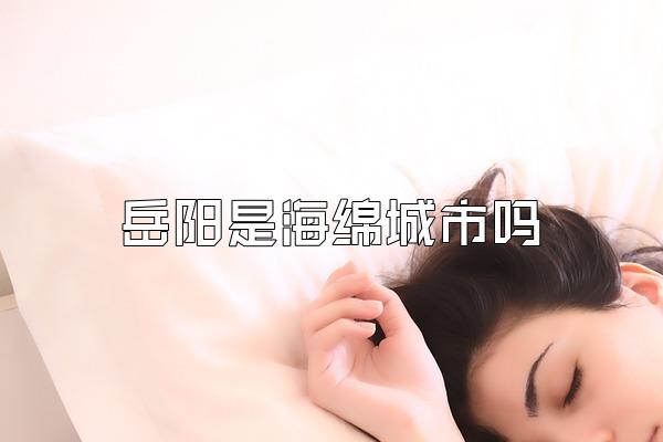 岳阳是海绵城市吗