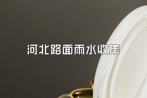 河北路面雨水收集