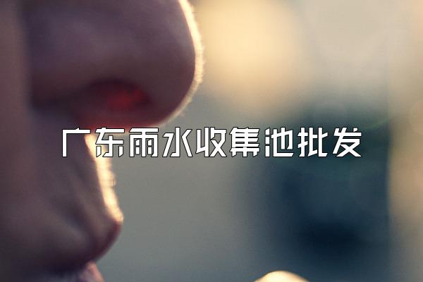 广东雨水收集池批发