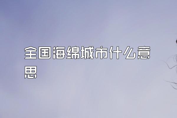 全国海绵城市什么意思