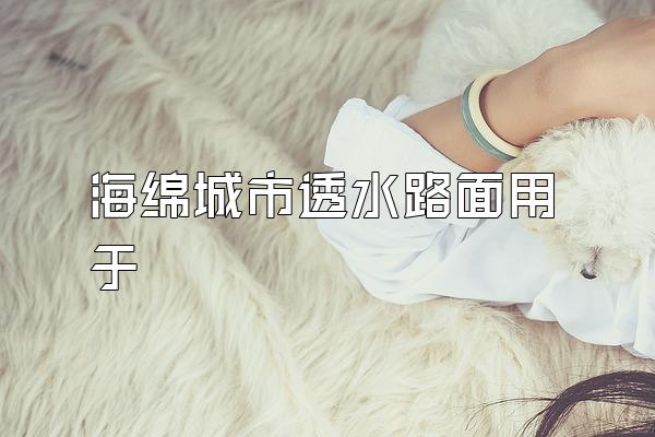 海绵城市透水路面用于