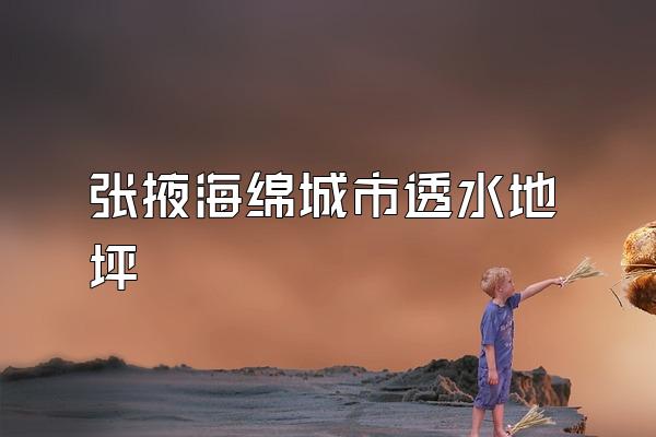张掖海绵城市透水地坪