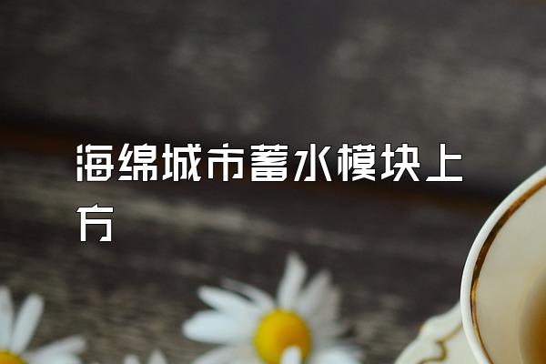 海绵城市蓄水模块上方