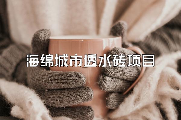 海绵城市透水砖项目