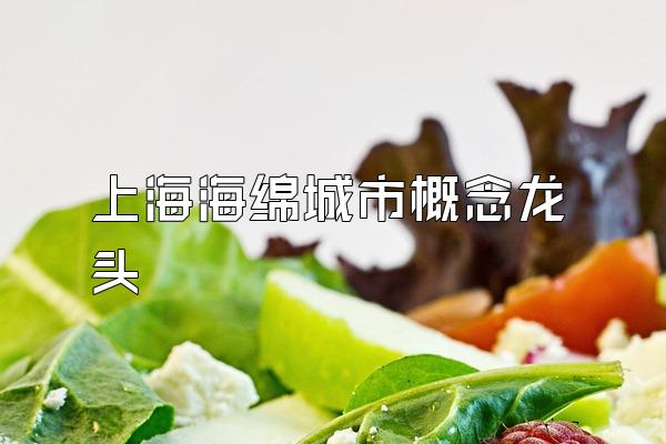 上海海绵城市概念龙头