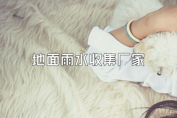 地面雨水收集厂家
