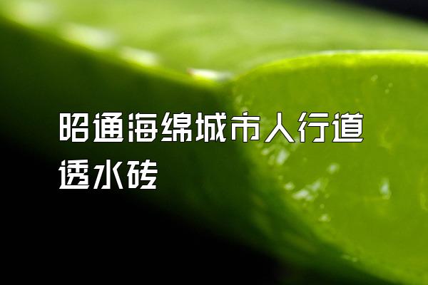 昭通海绵城市人行道透水砖