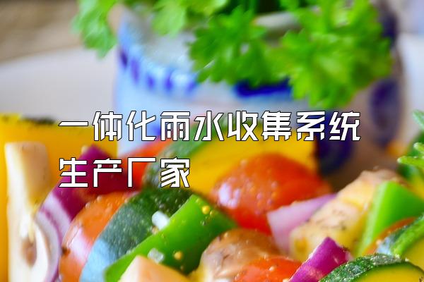 一体化雨水收集系统生产厂家
