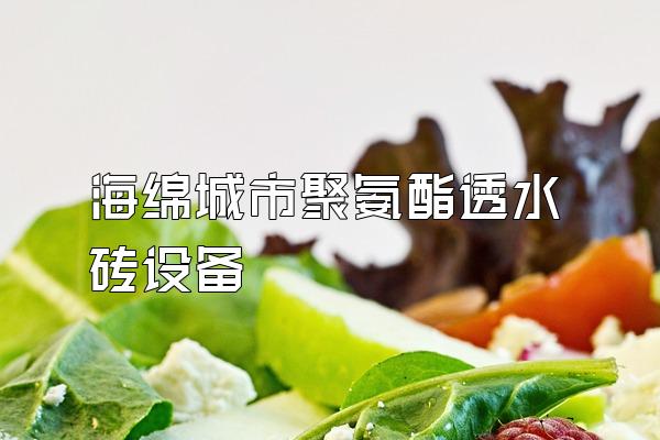 海绵城市聚氨酯透水砖设备
