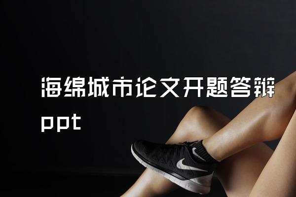 海绵城市论文开题答辩ppt
