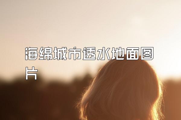 海绵城市透水地面图片