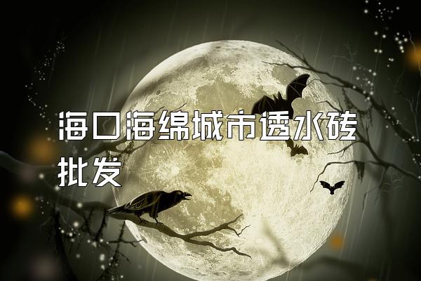 海口海绵城市透水砖批发
