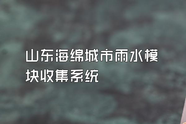 山东海绵城市雨水模块收集系统