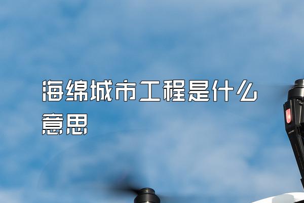海绵城市工程是什么意思