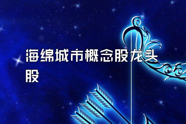 海绵城市概念股龙头股