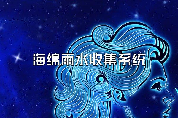 海绵雨水收集系统