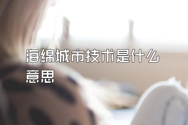 海绵城市技术是什么意思